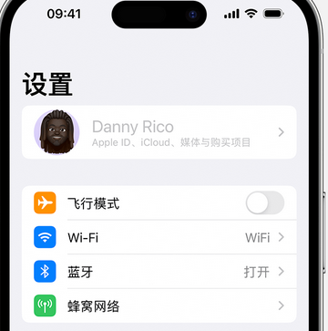 衡水appleID维修服务iPhone设置中Apple ID显示为灰色无法使用 