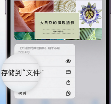 衡水apple维修中心分享iPhone文件应用中存储和找到下载文件