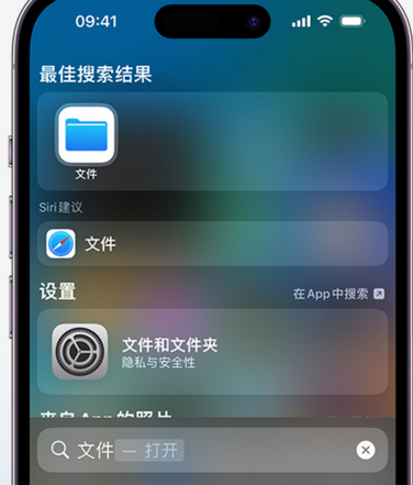 衡水apple维修中心分享iPhone文件应用中存储和找到下载文件 