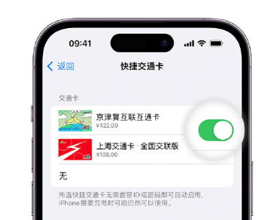 衡水apple维修点分享iPhone上更换Apple Pay快捷交通卡手绘卡面 