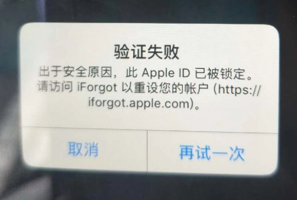 衡水iPhone维修分享iPhone上正常登录或使用AppleID怎么办 