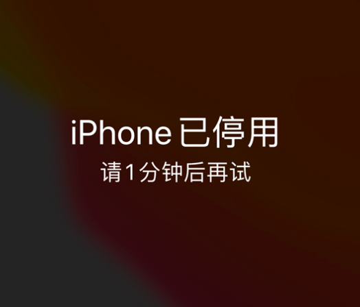 衡水苹果手机维修分享:iPhone 显示“不可用”或“已停用”怎么办？还能保留数据吗？ 