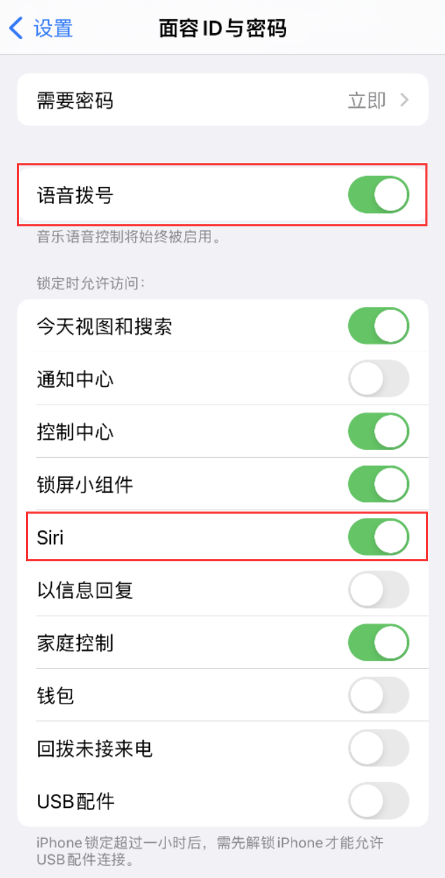 衡水苹果维修网点分享不解锁 iPhone 的情况下通过 Siri 拨打电话的方法 