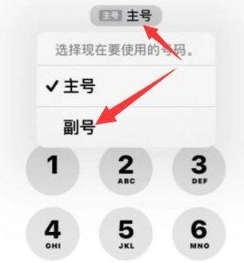 衡水苹果14维修店分享iPhone 14 Pro Max使用副卡打电话的方法 