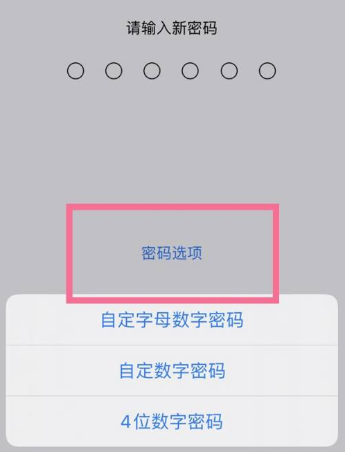 衡水苹果14维修分享iPhone 14plus设置密码的方法 