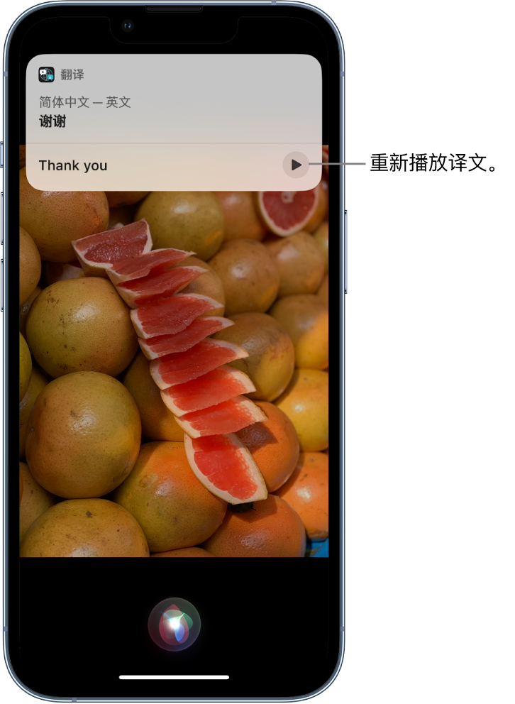 衡水苹果14维修分享 iPhone 14 机型中使用 Siri：了解 Siri 能帮你做什么 