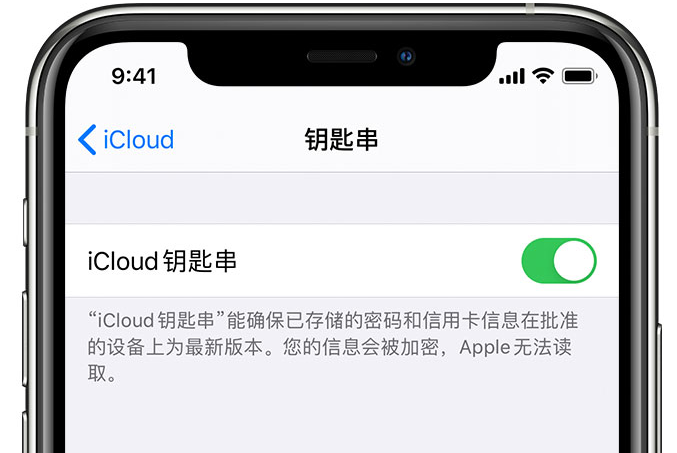 衡水苹果手机维修分享在 iPhone 上开启 iCloud 钥匙串之后会储存哪些信息 