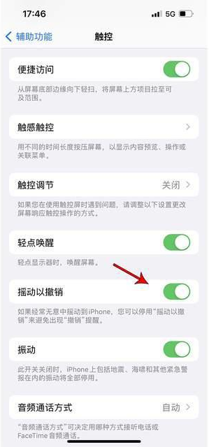 衡水苹果手机维修分享iPhone手机如何设置摇一摇删除文字 