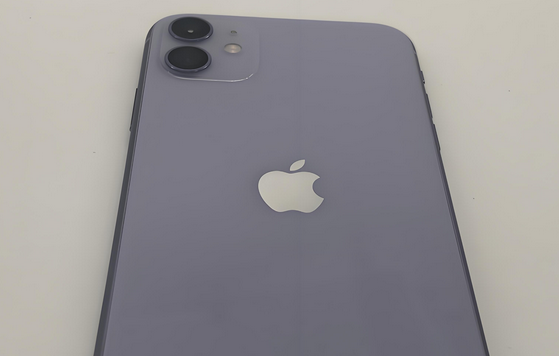 衡水苹果11系统维修分享iPhone11手机系统崩溃无法开机如何解决 